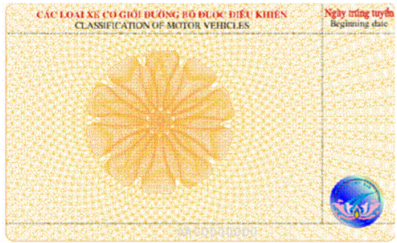Mẫu bằng lái xe cũ 