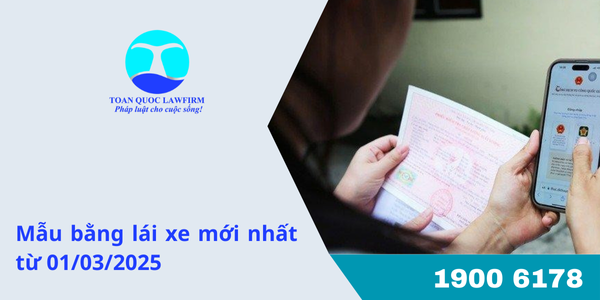 Mẫu bằng lái xe mới nhất từ 01/03/2025